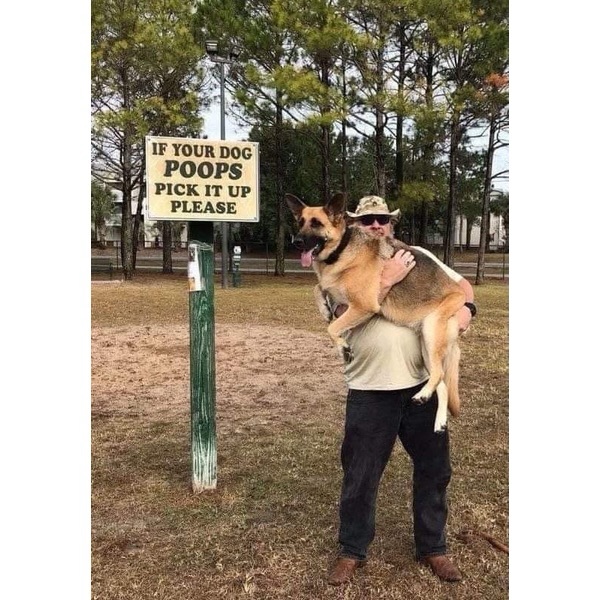 1000004719.jpg