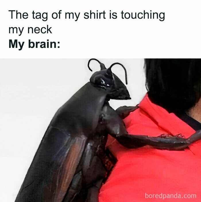 A.jpg