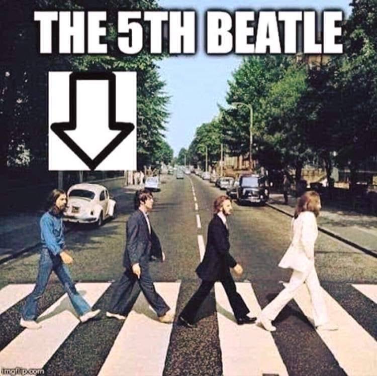 Beatle.jpg