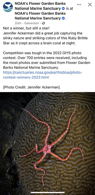C7BD676D-259D-4829-875D-69648ACA7A00.jpeg