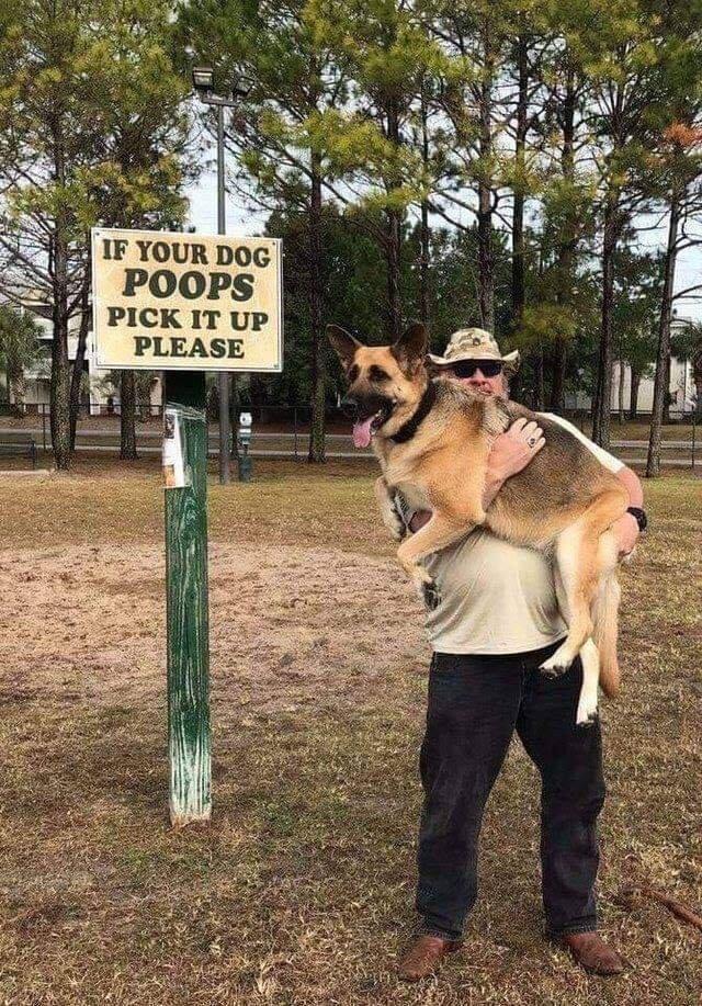 Dog.jpeg