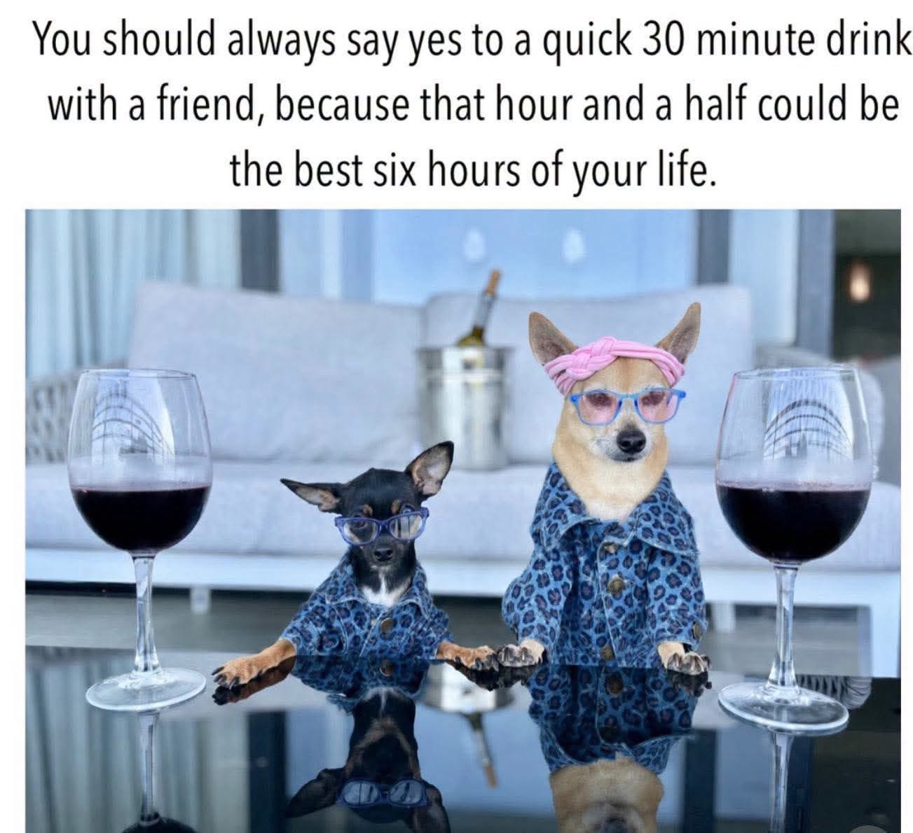 Drinkies.JPG