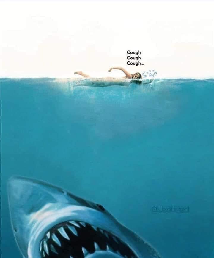 jaws.jpg