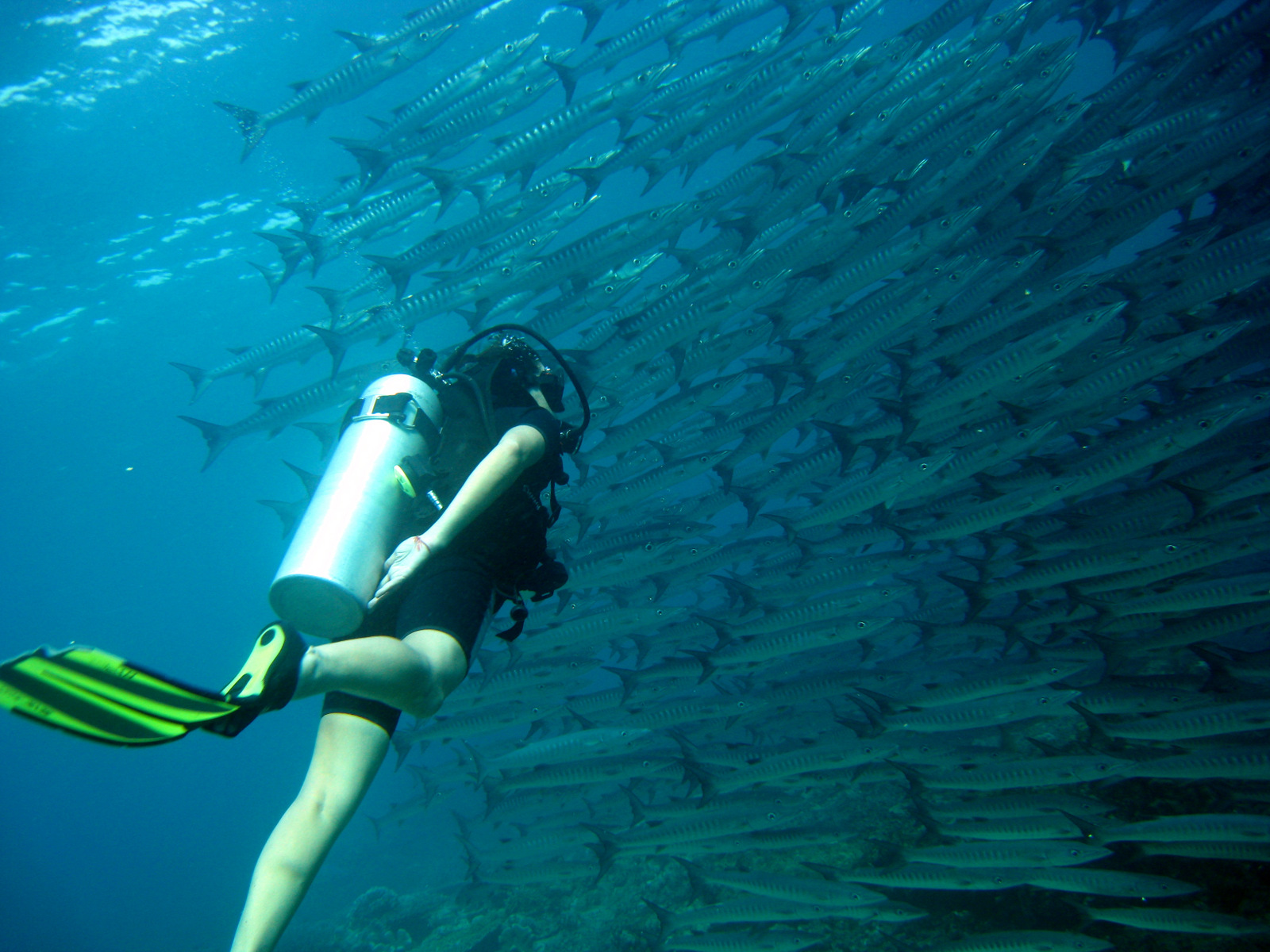 Lisa Niver scuba diving in Sipidan.jpg