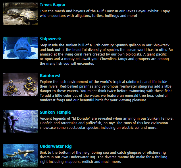 Screenshot 2025-04-05 092020.png