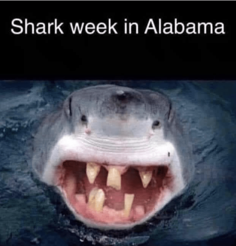 shark-shark-week-alabama.png