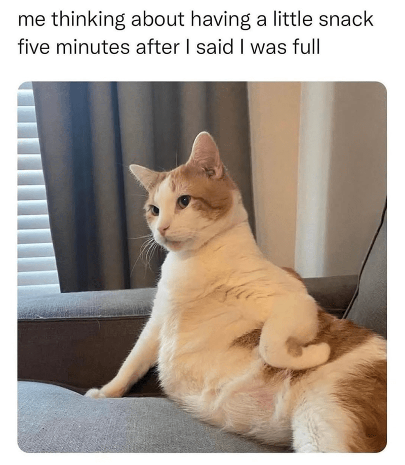 thinking-about-having-little-snack-five-minutes-after-said-full.png