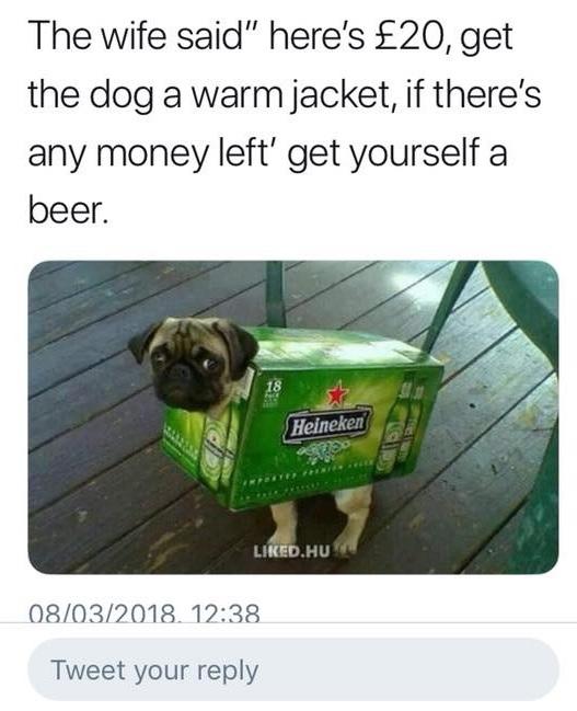 walkies.jpg