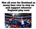 IMG_0434.jpeg