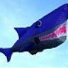 Volans