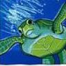 AquaHolic
