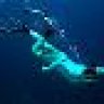 Mr Snorkel