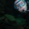 MPDiver