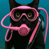 ScubaKitty