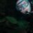 MPDiver