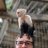 Monkey Business