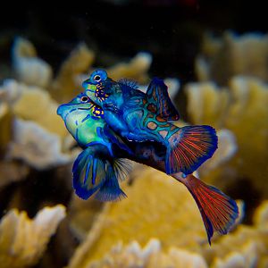 Cebu Philippines 2012