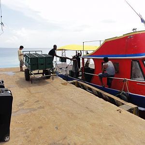 Little Corn Island - Aug '12