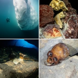 Member Album by birddog