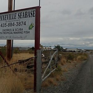 Bonneville Seabase - Oct '18