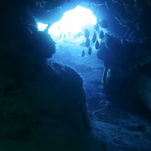 Cozumel June 2019