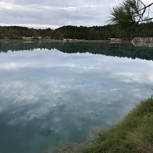 Williams Ranch Airbnb, Huntsville TX