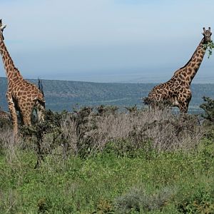 2021 Calendar