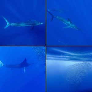 The year at a glance