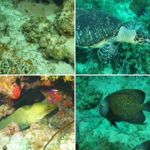 Roatan March 2022
