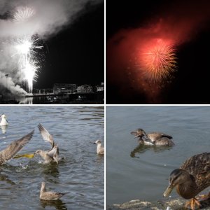 Iceberg of Greenland and a side order of Iceland August 2023