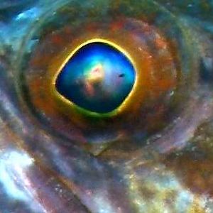 Cheesy I've got my Eye on you title