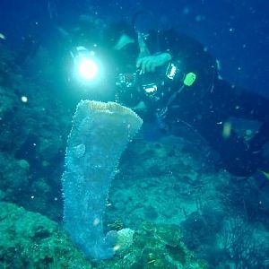 Most Innovative Use of a Crotch Strap Award