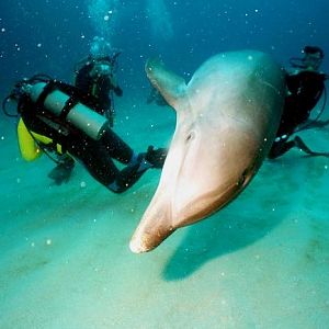 This is at the dive shop...really.