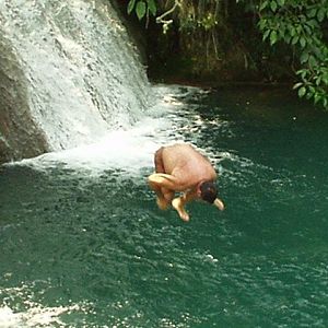 El Pulpo