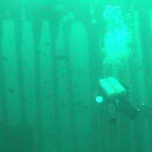 The Cathedral on the Ocean Venture