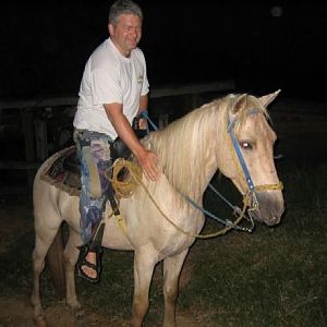 Think the horse should be riding him