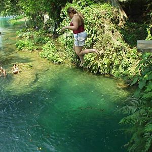 Spotfin Butterflyfish