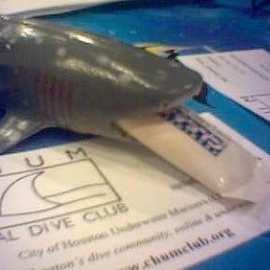 French Angel at night