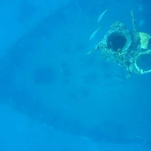 Who spilled their milkshake?