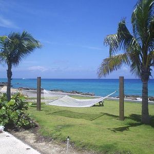 hammock in the cayman's