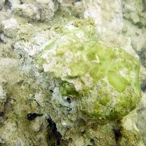 Rock formation