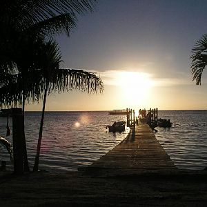 Searching out wild life