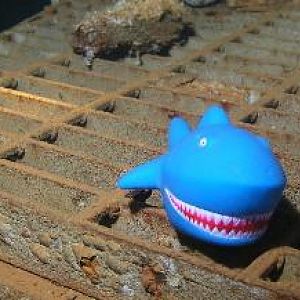 Last Moments