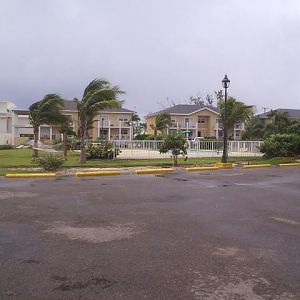 thank you to those who volunteered