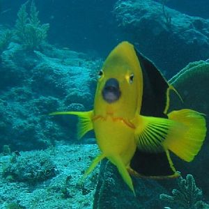 What're you lookin at?