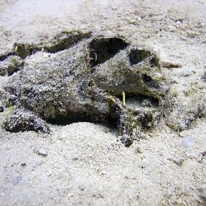 An even better group shot!!!