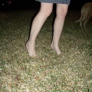 Magenta does the Dead Cockroach Dance