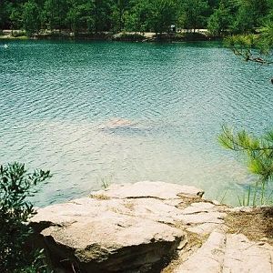 Custodian Of The CHUM Mascat