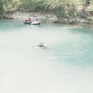 Bunny in the Headlights