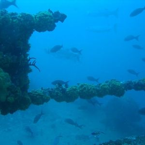 Picture of Windmill Farm Southwest of Abilene near the Missile Silo